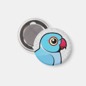 Aimant Blue Indian Ringneck (Recto/Verso)