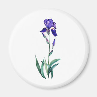 Aimant Blue Iris par PMACarlson