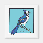 AIMANT BLUE JAY (Devant)