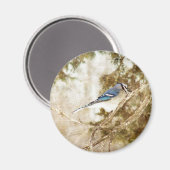 Aimant Blue Jay (Recto/Verso)