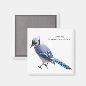 Aimant Blue Jay (Recto/Verso)