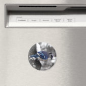 Aimant Blue Jay Bird (In Situ (Lave-vaisselle))