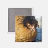 Aimant Blue Jr (Recto/Verso)