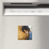 Aimant Blue Jr (In Situ (Lave-vaisselle))