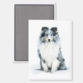Aimant BLUE MERLE Shetland Sheepdog Watercolor Art (Recto/Verso)