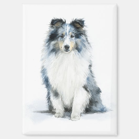 Aimant BLUE MERLE Shetland Sheepdog Watercolor Art (Recto)