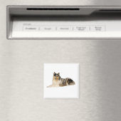 Aimant blue merrough collie laying (In Situ (Lave-vaisselle))
