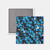 Aimant Blue Mountain Swallowtail (Recto/Verso)