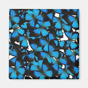 Aimant Blue Mountain Swallowtail