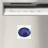 Aimant Blue Sapphire (In Situ (Lave-vaisselle))