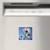 Aimant Blue Skies Bloomin Daisies (In Situ (Lave-vaisselle))