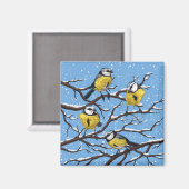 Aimant Blue tit birds en hiver (Recto/Verso)