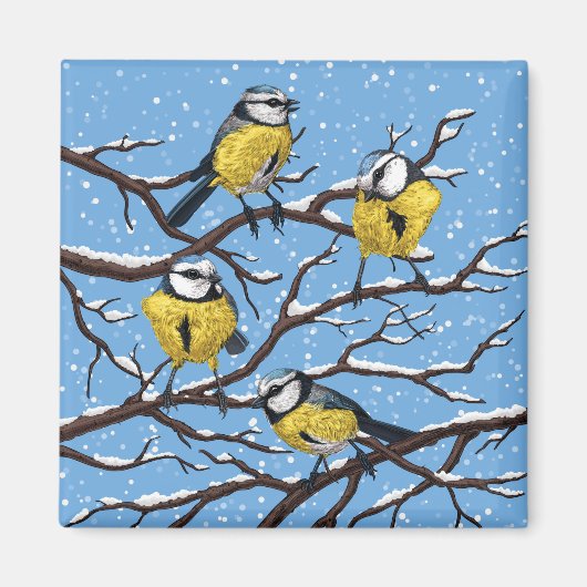Aimant Blue tit birds en hiver (Devant)