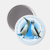 Aimant Blue Webbed Pied Oiseaux Galapagos Îles Souvenir (Recto/Verso)