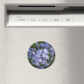 Aimant Bluebells (In Situ (Lave-vaisselle))