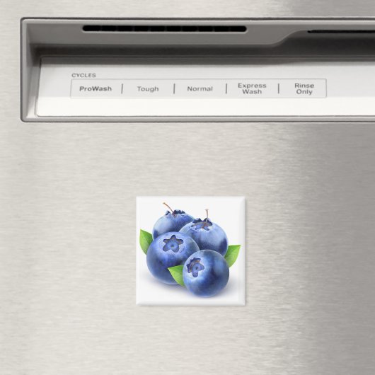 Aimant Blueberges (In Situ (Lave-vaisselle))