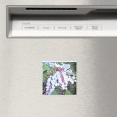 Aimant Blueberries sauvages (In Situ (Lave-vaisselle))