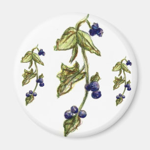 Aimant Blueberries sur l'aimant de la vigne