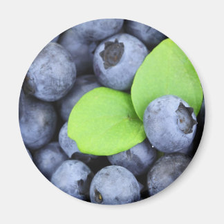 Aimant Blueberries v1