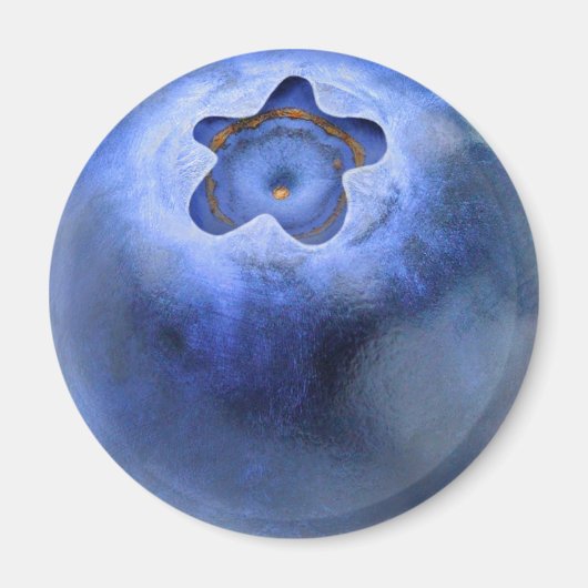 Aimant Blueberry (Devant)