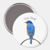 Aimant Bluebird (Recto/Verso)