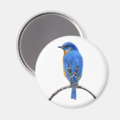 Aimant Bluebird (Recto/Verso)