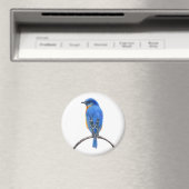 Aimant Bluebird (In Situ (Lave-vaisselle))