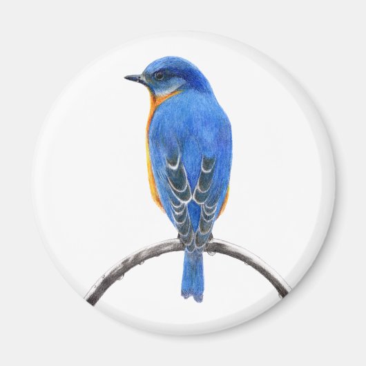 Aimant Bluebird (Devant)