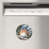 Aimant Bluebird (In Situ (Lave-vaisselle))