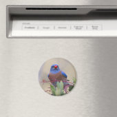 Aimant Bluebird avec Berry (In Situ (Lave-vaisselle))