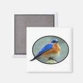 Aimant Bluebird dans le cadre ovale (Recto/Verso)