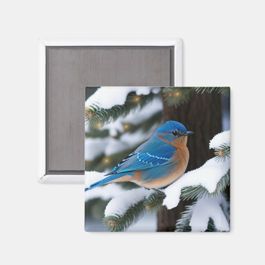 Aimant Bluebird d'hiver (Recto/Verso)