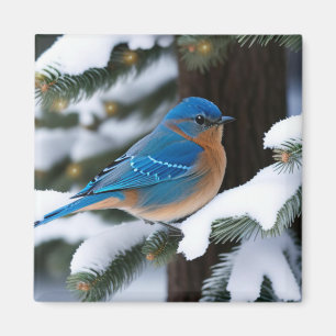Aimant Bluebird d'hiver