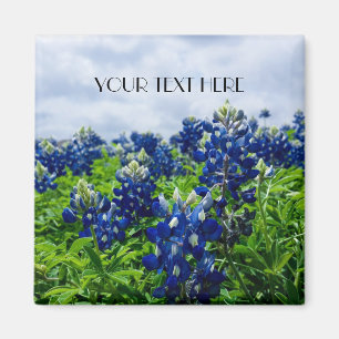 Aimant Bluebonnets Blue Flowers Texas texan Floral