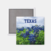 Aimant Bluebonnets Fleurs Bleues Texas Texan Floral (Recto/Verso)