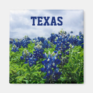 Aimant Bluebonnets Fleurs Bleues Texas Texan Floral