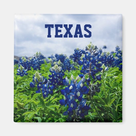 Aimant Bluebonnets Fleurs Bleues Texas Texan Floral (Devant)