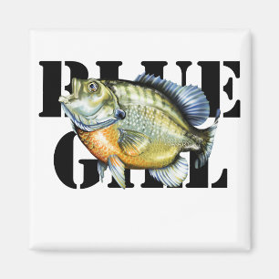 Aimant Bluegill