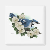 Aimant Bluejay (Devant)