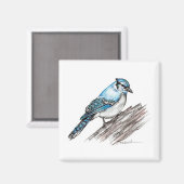Aimant Bluejay (Recto/Verso)