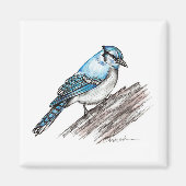 Aimant Bluejay (Devant)