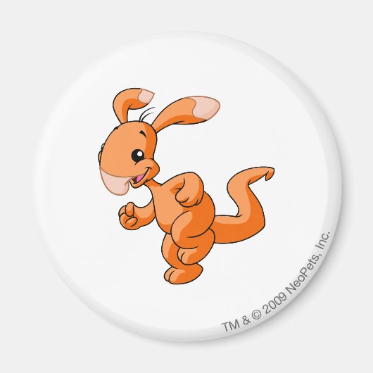 Aimant Blumaroo Orange (Devant)