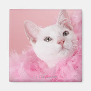Aimant Boa de plume de port de chat