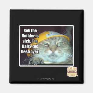 Aimant Bob le constructeur est malade