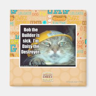 Aimant Bob le constructeur est malade