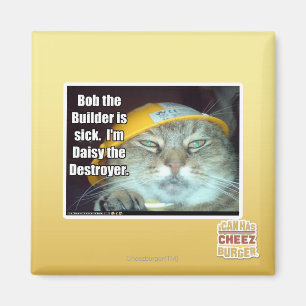 Aimant Bob le constructeur est malade