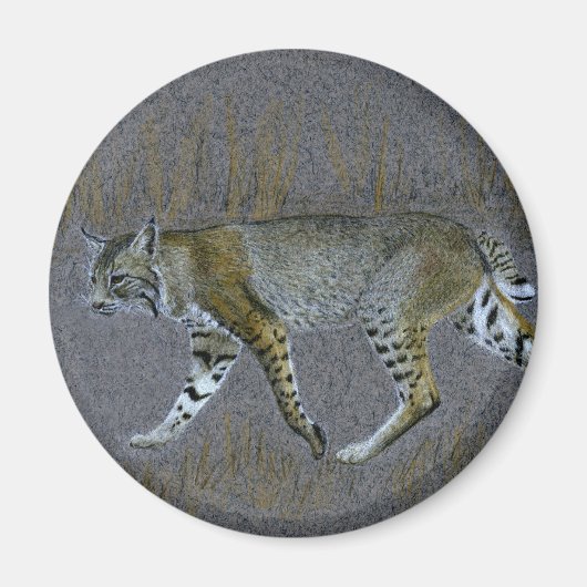 Aimant Bobcat (Devant)