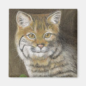 Aimant Bobcat (Devant)