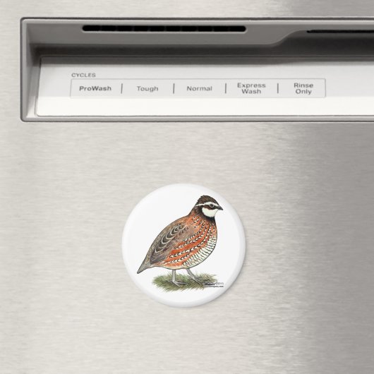Aimant Bobwhite Quail (In Situ (Lave-vaisselle))