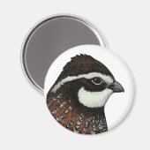 Aimant Bobwhite Quail Head (Recto/Verso)